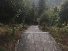 -凤栖山
