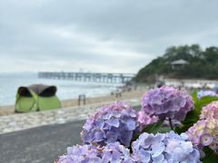 -银沙滩浴场