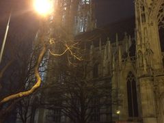 -斯蒂芬主教座堂(Stephansdom)