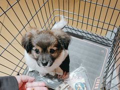 -MARSMART PETS火星宠物超市(1733店)