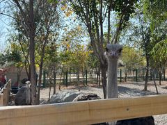 -水上乐园·欢乐世界