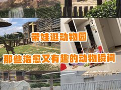 -太原动物园