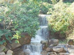 -广州市帽峰山景区