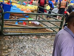 -将军关探险漂流