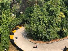 -圣淘沙天际线斜坡滑车