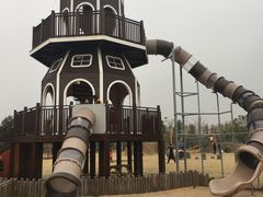 -上海长兴岛郊野公园