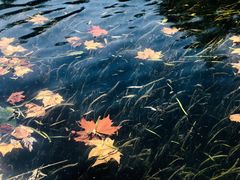 -贵阳市花溪国家城市湿地公园