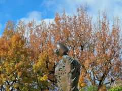 -三鹰之森吉卜力美术馆