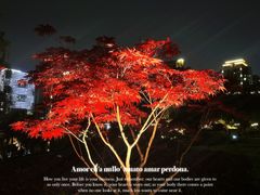 -木塔寺遗址生态公园