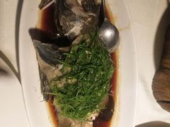 清蒸老虎斑-梧桐餐厅(泉城路店)