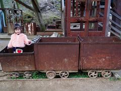 -疏芬山金矿