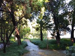 -叶家花园