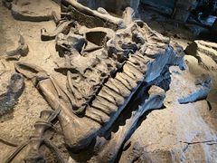 -自贡恐龙博物馆