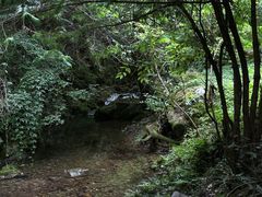 -水磨沟环境自然保护区