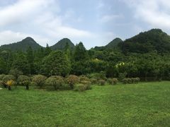 -贵阳市花溪国家城市湿地公园