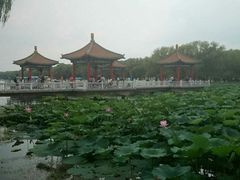 -阿依河景区