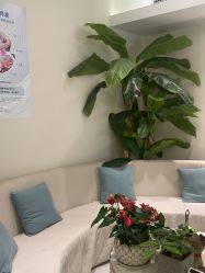 -健身堂科技美肌SPA