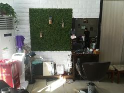 -红人馆造型十添