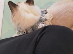 -怪兽屋·羊驼·猫咖·狗咖(俊华广场店)