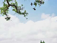 -沙美村