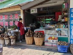 -溪口-滕头旅游景区