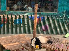 -沈阳森林动物园