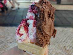 -柠檬车露(卖草地店)