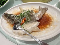 清蒸鲈鱼-天喜酒楼饭市·茶市(同德皇宫店)