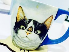 -喵的天空名猫咖啡馆·撸猫·猫舍·用品