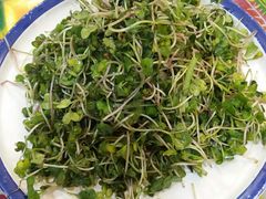 -闯关东东北农家菜(崂山石老人店)