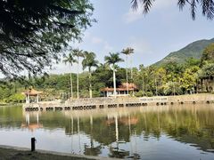 -深圳仙湖植物园