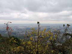 -杭州半山国家森林公园