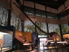 -湖南省地质博物馆