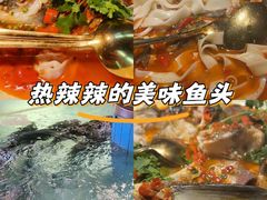 -坛宗剁椒鱼头(河西王府井店)