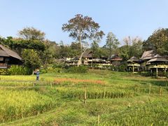 -四季酒店下午茶