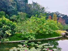 -云溪植物园
