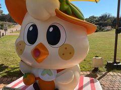 -济州森林小火车生态公园