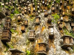 -神农架景区