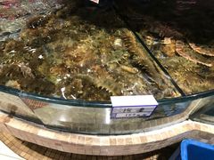 -天天渔港(杏林街店)