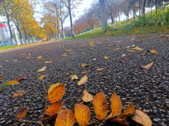 -大明宫国家遗址公园·御道广场