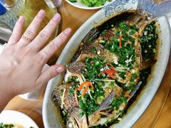 -芦茨金富饭庄·25年老字号·专做稻草鸡