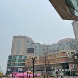 满树樱花朵朵开，花花世界的，出来逛街啊