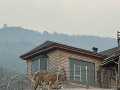 -无锡动物园·太湖欢乐园