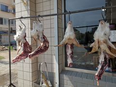 -何记羊汤馆(丽水佳源店)