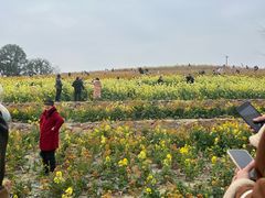 -三圣花乡旅游区