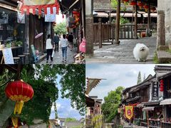 -莫干山风景区