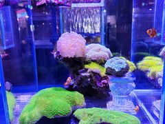 -海合安青岛极地海洋公园