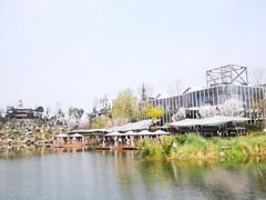 -天府芙蓉园