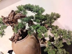 -盘子女人坊古装写真摄影(天津总店)