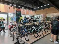 -xds喜德盛自行车(滴水湖店)